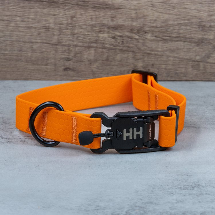 Fidlock 2024 dog collar