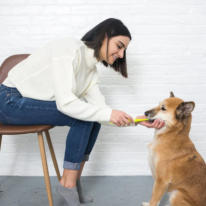 Petosan dog deals toothbrush